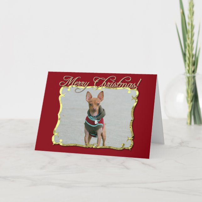 Frohe Weihnachten Chihuahua Hund (Vorderseite)