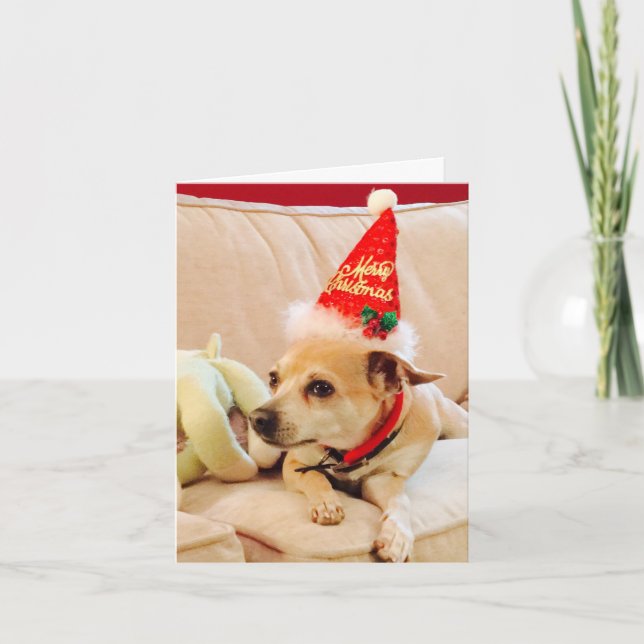 Frohe Weihnachten Chihuahua Süsse 4Sadie Karte (Vorderseite)