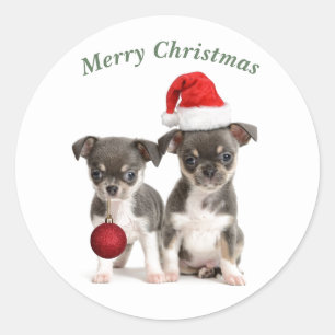 Frohe Weihnachten Chihuahua Welpen Runder Aufkleber