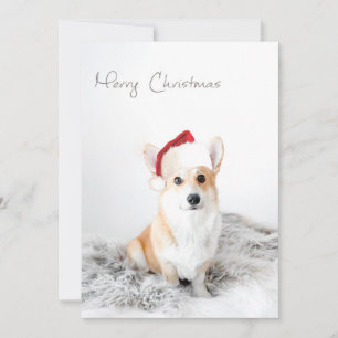 Frohe Weihnachten Corgi