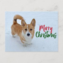 Frohe Weihnachten Corgi Foto in Snow Beautiful