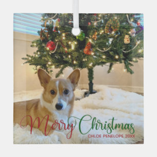Frohe Weihnachten Custom Pet Foto Schöner Hund Ornament Aus Glas