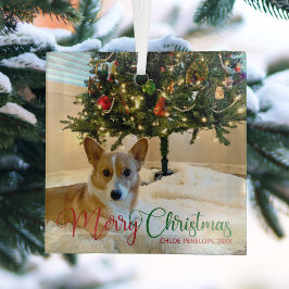 Frohe Weihnachten Custom Pet Foto Schöner Hund Ornament Aus Glas