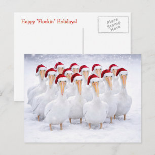 Frohe Weihnachten Cute Pelikane im Schnee
