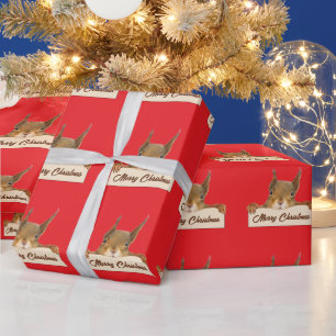 Frohe Weihnachten Eichhörnchen  Geschenkpapier