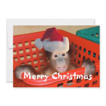 Frohe Weihnachten Erstellen Sie Ihre eigene Botsch