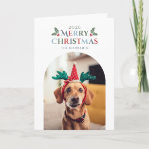 Frohe Weihnachten Familienhund Foto Laubwerk