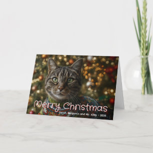 Frohe Weihnachten Familienkatzenfoto