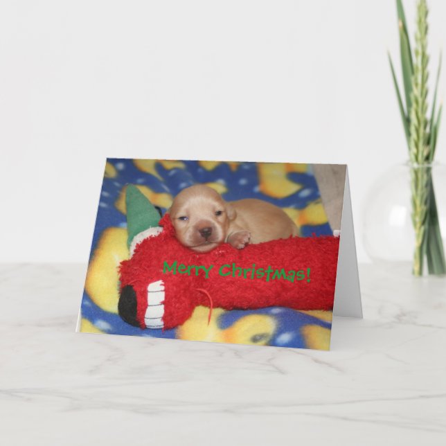 Frohe Weihnachten! Feiertagskarte (Vorderseite)