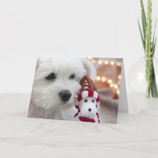 Frohe Weihnachten! Feiertagskarte