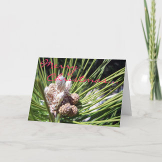 Frohe Weihnachten… Feiertagskarte