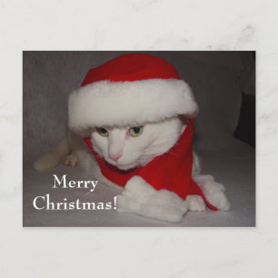 Frohe Weihnachten! Feiertagspostkarte