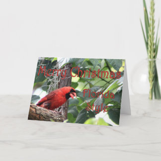 Frohe Weihnachten, Florida Stil Feiertagskarte