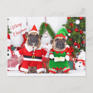 Frohe Weihnachten Französisch Bulldogs Santa and E