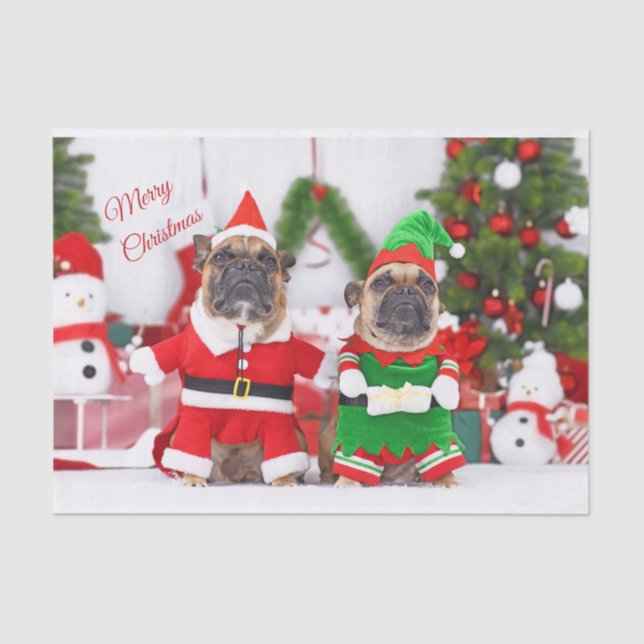 Frohe Weihnachten Französisch Bulldogs Santa and E Seidenpapier (Vorderseite)