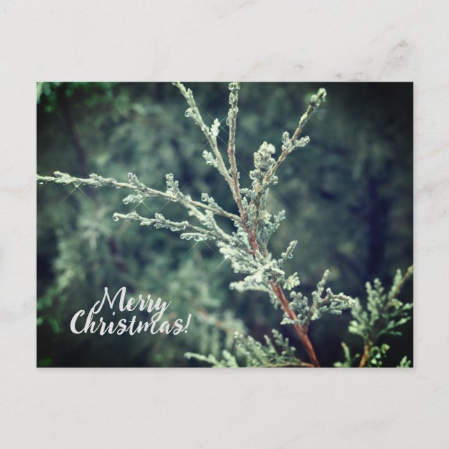 Frohe Weihnachten Frosty Evergreen (Vorderseite)