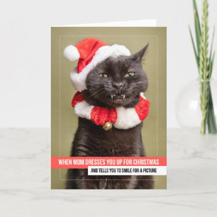 Frohe Weihnachten für alle Katzen in der Weihnacht