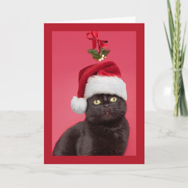 Frohe Weihnachten für alle Katzen unter Mistletoe (Vorderseite)