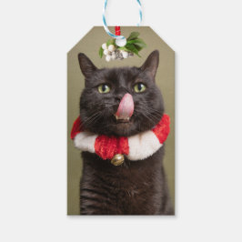 Frohe Weihnachten für alle Katzen unter Mistletoe Geschenkanhänger