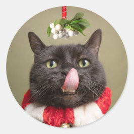 Frohe Weihnachten für alle Katzen unter Mistletoe Quadratischer Aufkleber