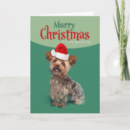 Frohe Weihnachten für Hund Niedlich Yorkie in Weih