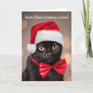 Frohe Weihnachten für jede Katze in Santa Hut Humo