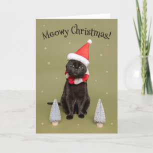 Frohe Weihnachten für jeden Lustige Katze in Santa