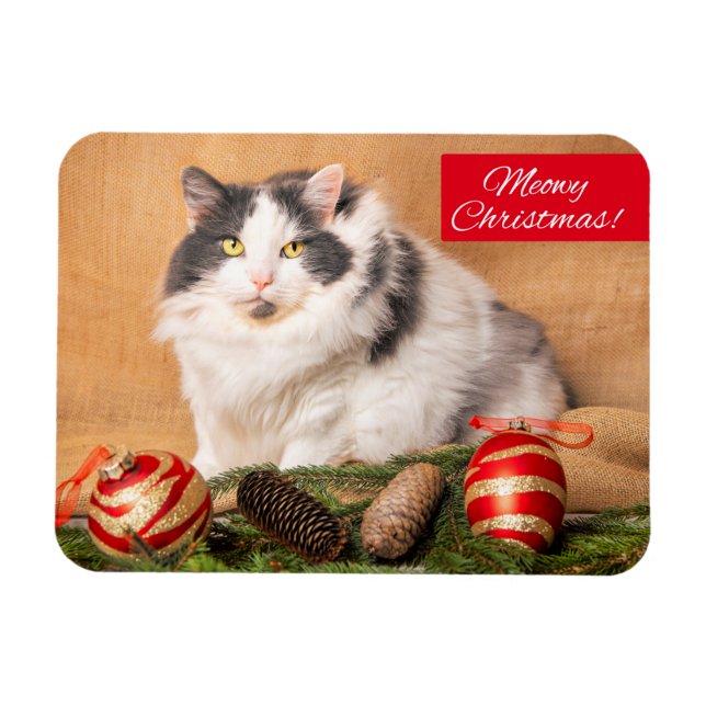 Frohe Weihnachten für jeden Niedlichen Cat Spaß Magnet (Horizontal)