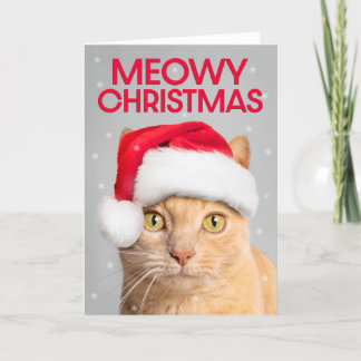 Frohe Weihnachten für jeden Niedlichen Orange Tabb