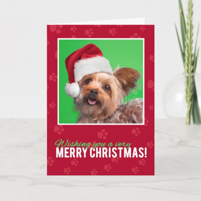 Frohe Weihnachten für jeden Niedlichen Yorkie (Vorderseite)