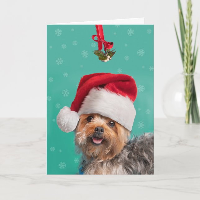 Frohe Weihnachten für jeden Niedlichen Yorkie Dog (Vorderseite)