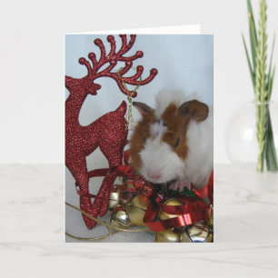Frohe Weihnachten! Guinea Schweinefleisch mit Rent Feiertagskarte
