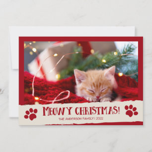 Frohe Weihnachten Haustier Katze Foto Weihnachtska