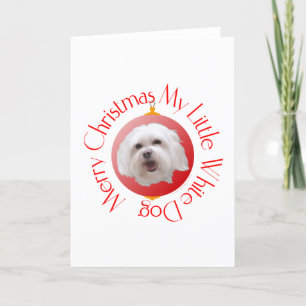 Frohe Weihnachten Havanese
