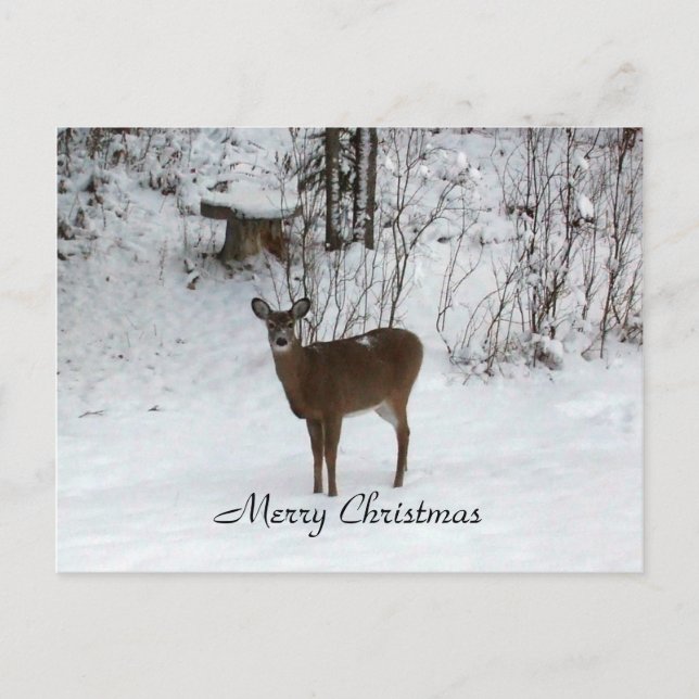 Frohe Weihnachten Hirsch (Vorderseite)