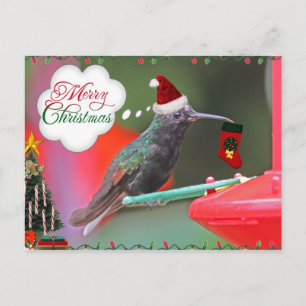 Frohe Weihnachten Hummingbird