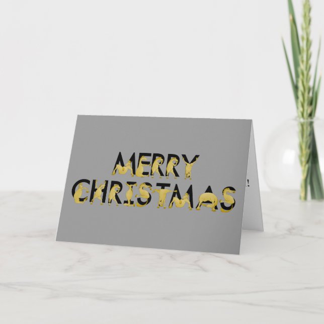 Frohe Weihnachten in Ponys geschrieben! (Vorderseite)