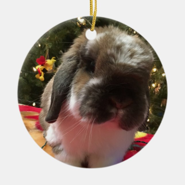 Frohe Weihnachten jeden Bun! Keramik Ornament (Vorne)
