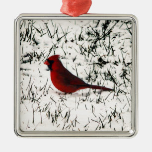 Frohe Weihnachten Kardinal Ornament Aus Metall
