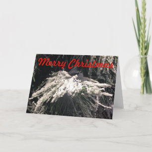 Frohe Weihnachten, Karte