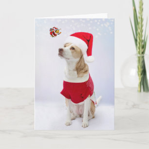 Frohe Weihnachten. Karte