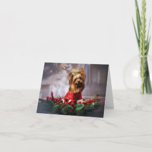 Frohe Weihnachten. Karte