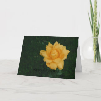 Frohe Weihnachten(Karte) Feiertagskarte