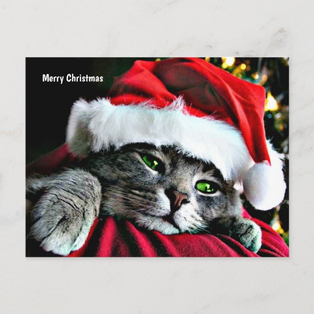 Frohe Weihnachten Katze (Vorderseite)