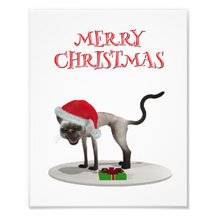 Frohe Weihnachten. Katze mit Santa-Hut Fotodruck
