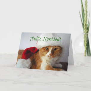 Frohe Weihnachten - Katze mit Weihnachtsmannmütze