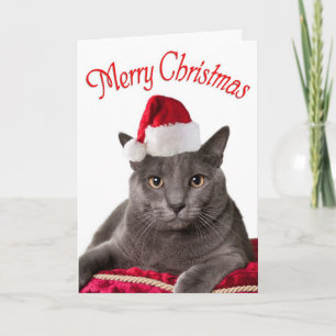 Frohe Weihnachten, Katze Weihnachtskarte Feiertagskarte