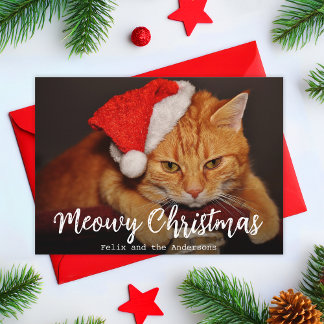 Frohe Weihnachten Katzenfoto Katze mit roter Santa