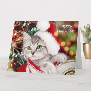 Frohe Weihnachten Kitten Karte