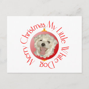 Frohe Weihnachten Kleiner Weißer Hund